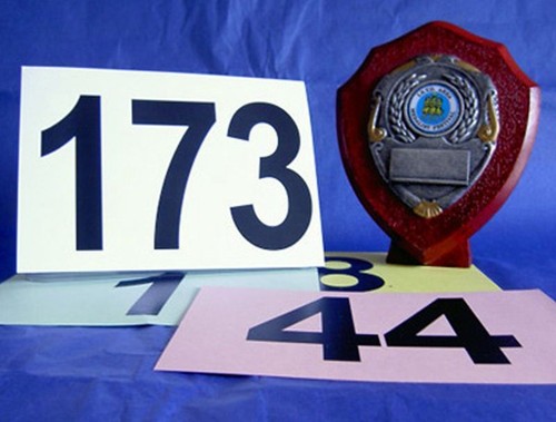 Sporting sports competitor - sports,