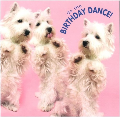 Birthday card for all dancing - card,