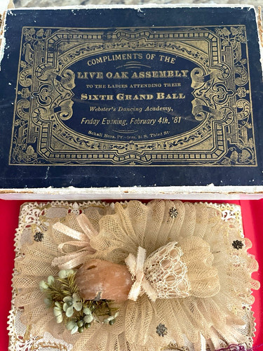 1881 delaware live oak - delaware, “live